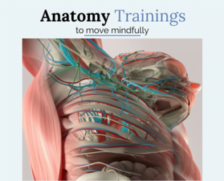 Anatomi Eğitimleri