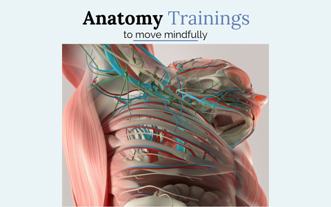 Anatomi Eğitimleri