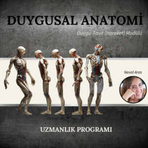 DUYGUSAL ANATOMİ MODÜL 2