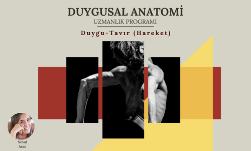Duygusal Anatomi Duygu-Tavır-Hareket Duygusal Anatomi Duygu-Tavır-Hareket