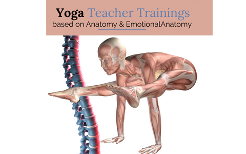 Yoga Eğitmenlik Eğitimi