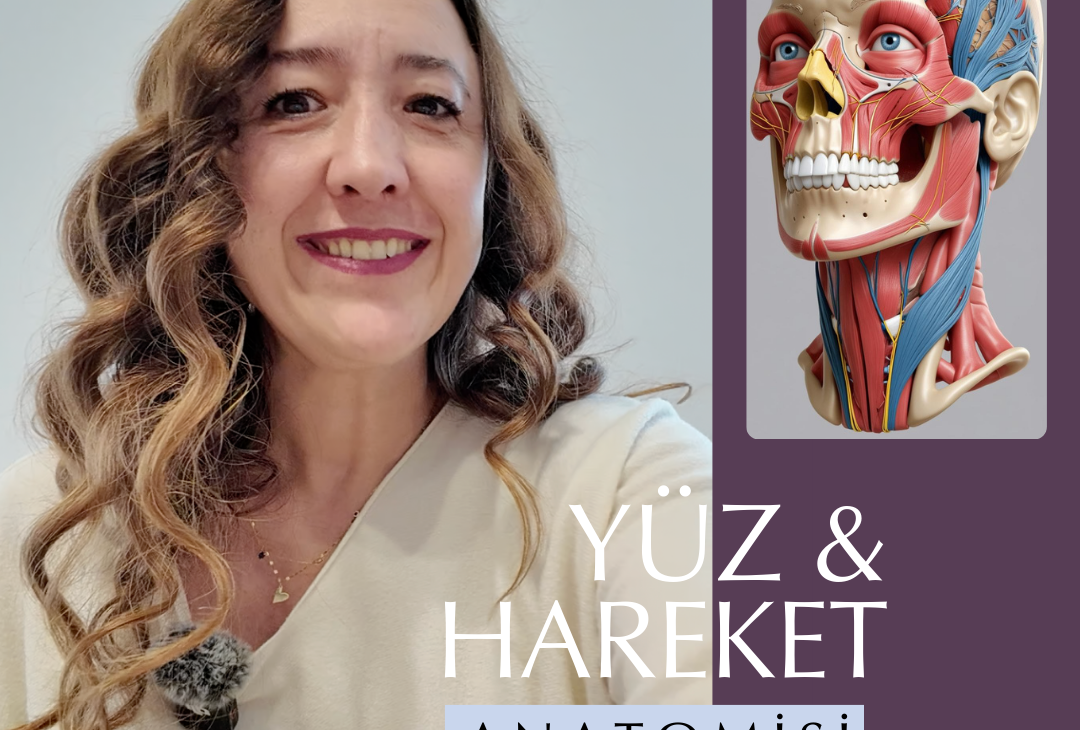 YÜZ & HAREKET ANATOMİSİ