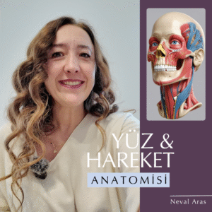 YÜZ & HAREKET ANATOMİSİ