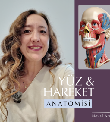 FACIAL & MOVEMENT ANATOMY