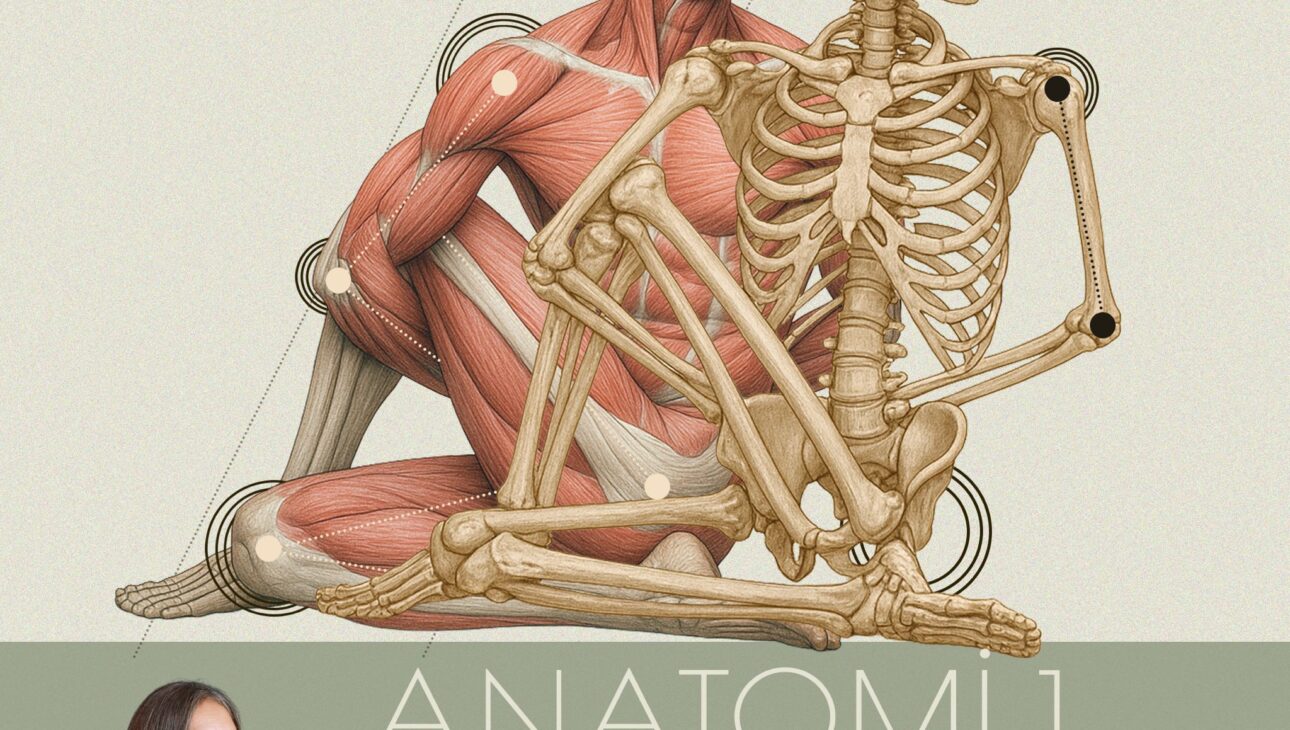 ANATOMİ I / YAPI – FONKSİYON – YOGA