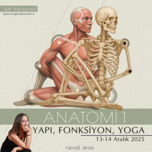 ANATOMİ I / YAPI – FONKSİYON – YOGA