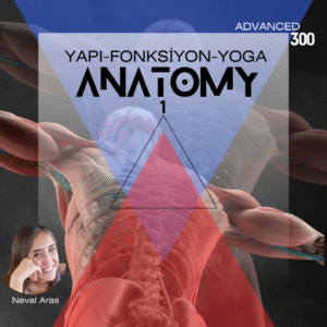 ANATOMİ I / YAPI – FONKSİYON – YOGA