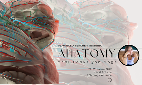 Anatomi Yapı - Fonksiyon - Yoga