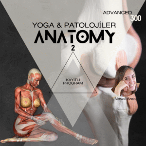 ANATOMİ II / YOGA ve PATOLOJİLER
