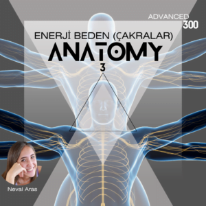 ANATOMİ III / ENERJİ BEDEN – ÇAKRALAR