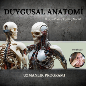 DUYGUSAL ANATOMİ MODÜL 3