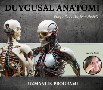 EMOTIONAL ANATOMY MODULE 3