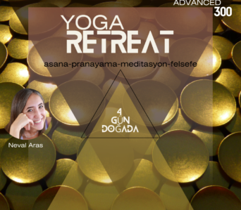 ADVANCED TEACHER TRAINING 300  RETREAT