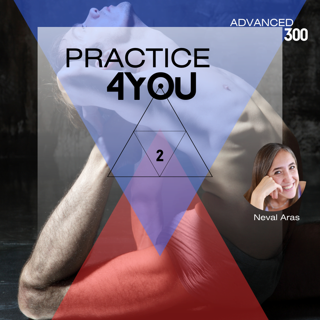 Neval 2 PRACTICE4YOU 2024 with NEVAL ARAS - SESSION II - Sensing Body Academy