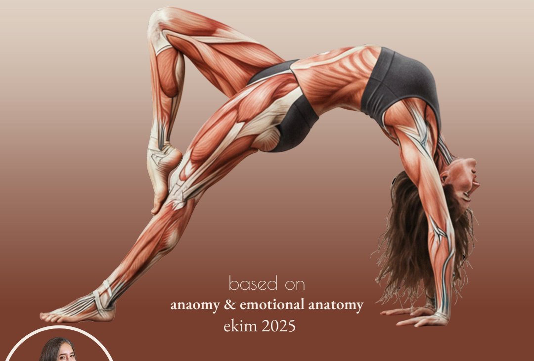 TEMEL YOGA EĞİTMENLİK EĞİTİMİ EKİM 2025