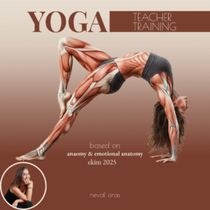 TEMEL YOGA EĞİTMENLİK EĞİTİMİ EKİM 2025