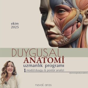 DUYGUSAL ANATOMİ MODÜL 1