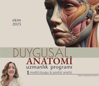 DUYGUSAL ANATOMİ MODÜL 1